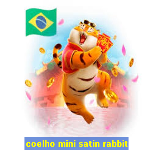 coelho mini satin rabbit